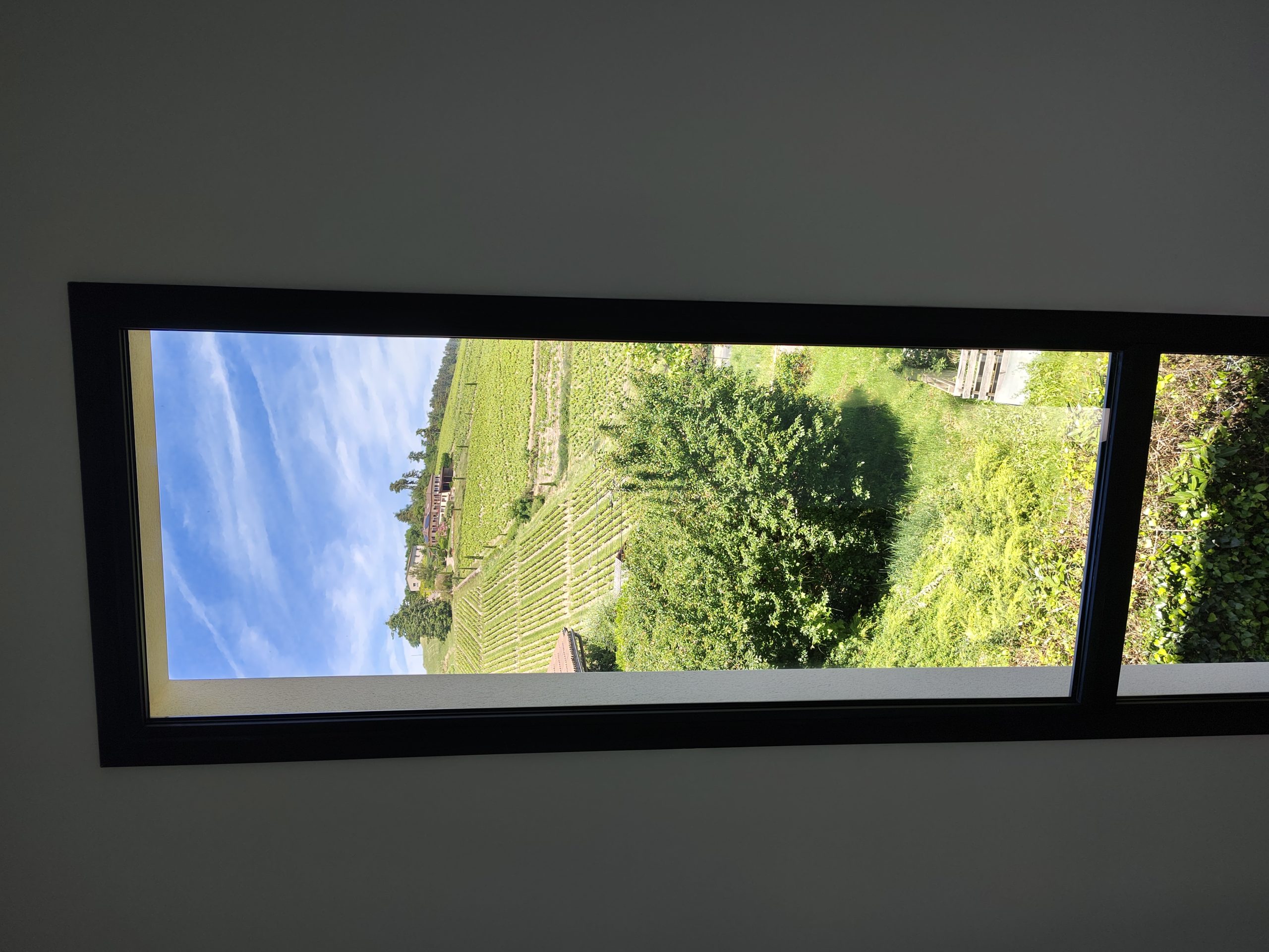 IMG_20260522_134511789_HDR