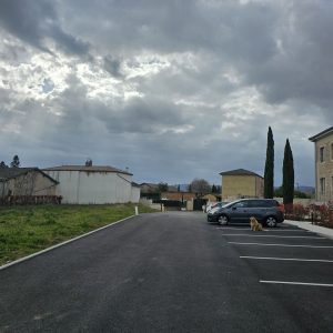 2125741.jpg