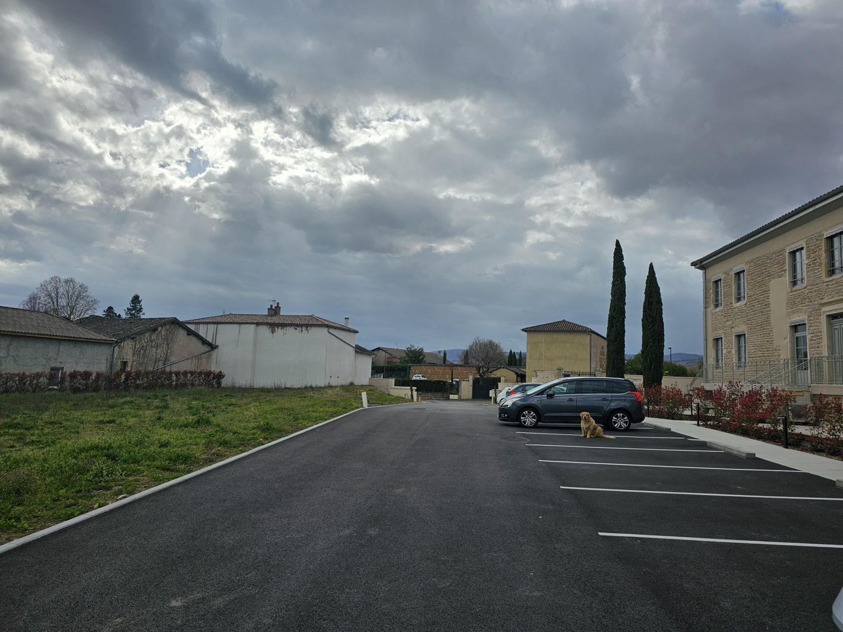 2125741.jpg